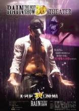 Rain：The Best Show 演唱会